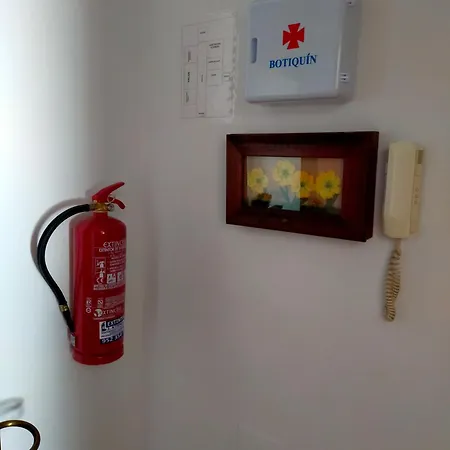 Girasoles * אולברה